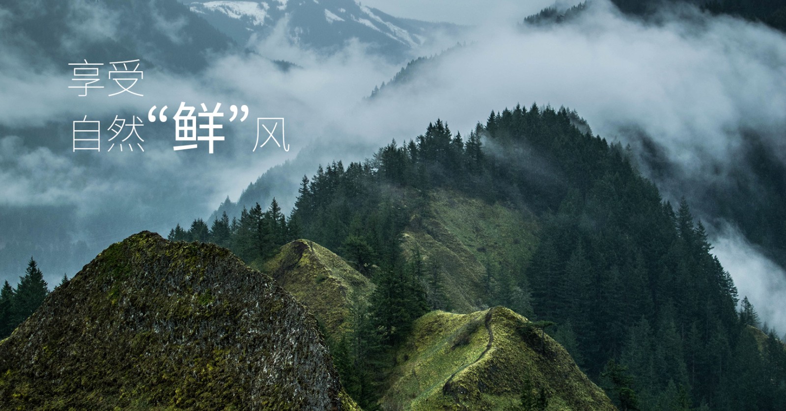 颯多大的、爽.jpg